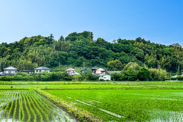 日本農業